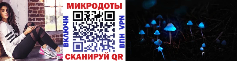 Купить закладки  Сыктывкар  Галлюциногенные грибы мухоморы 